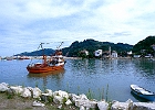Fischkutter im Hafen von Bolaman : Dorf, Minarett